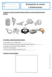 Alimentation - Examen Evaluation : 3eme Harmos - PDF à imprimer