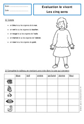 5 sens - Examen Evaluation : 3eme Harmos - PDF à imprimer