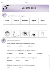 5 sens - Exercices - Découverte du monde : 3eme Harmos - PDF à imprimer