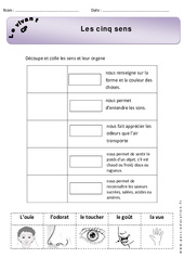 5 sens - Trace écrite - Découverte du monde - Cours, Leçon : 3eme Harmos - PDF à imprimer