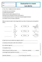 Dents - Examen Evaluation : 3eme Harmos - PDF à imprimer