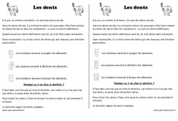 Dents - Trace écrite - Découverte du monde - Cours, Leçon : 3eme Harmos - PDF à imprimer