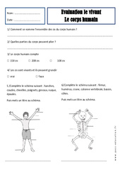 Corps humain - Examen Evaluation : 3eme Harmos - PDF à imprimer