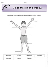 Connaître mon corps - Exercices 2 - Découverte du monde : 3eme Harmos - PDF à imprimer