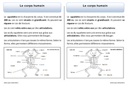 Corps humain - Trace écrite - Découverte du monde - Cours, Leçon : 3eme Harmos - PDF à imprimer