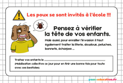 Affiche poux - Affichages pour la classe : 1ère, 2ème Harmos - PDF à imprimer