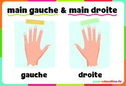 Main gauche - Main droite - Affichages pour la classe : 1ère, 2ème Harmos - PDF à imprimer