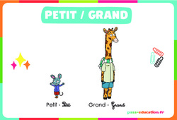 Petit - Grand - Affichages pour la classe : 1ère, 2ème Harmos - PDF à imprimer