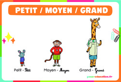 Petit - Moyen - Grand - Affichages pour la classe : 1ère, 2ème Harmos - PDF à imprimer