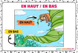 Haut - Bas - Affichages pour la classe : 1ère, 2ème Harmos - PDF à imprimer