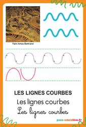 Lignes courbes - Graphisme - Affichages pour la classe : 1ère, 2ème Harmos - PDF à imprimer