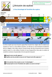 Evolution des espèces - Exercices : 8ème Harmos - PDF à imprimer