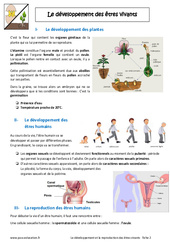 Développement et reproduction des êtres vivants - Cours : 8ème Harmos - PDF à imprimer