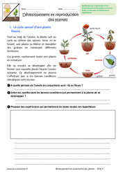 Développement et reproduction des plantes - Exercices : 8ème Harmos - PDF à imprimer