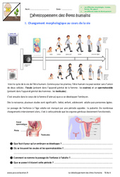 Développement des êtres humains - Exercices : 8ème Harmos - PDF à imprimer