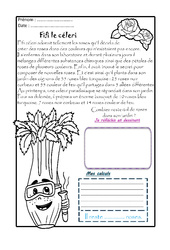 Situations problèmes - Ce2 - Petites histoires imaginaires - PDF à imprimer