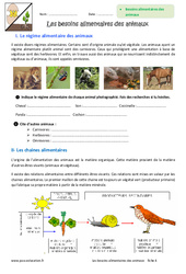 Besoins alimentaires des animaux - Exercices : 8ème Harmos - PDF à imprimer