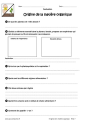 Origine de la matière organique - Examen Evaluation - Bilan : 8ème Harmos - PDF à imprimer