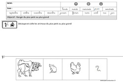 Classer par taille - Grandeurs : 2ème Harmos - PDF à imprimer