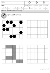 Reproduction sur quadrillage - Espace : 2ème Harmos - PDF à imprimer