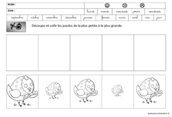 Du plus petit au plus grand - Formes et grandeurs - Pâques : 2ème Harmos - PDF à imprimer