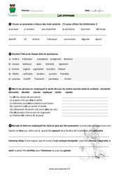 Synonymes - Exercices avec les corrections : 7ème Harmos - PDF à imprimer