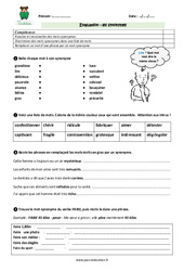 Synonymes - Examen Evaluation - Bilan : 7ème Harmos - PDF à imprimer