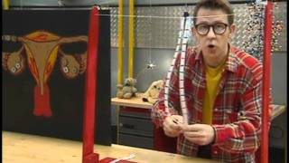 Reproduction Humaine - Vidéos pédagogiques - Le corps humain et l’éducation à la santé - Sciences : 5ème, 6ème, 7ème Harmos