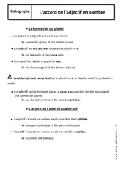 Accord de l'adjectif en nombre - Cours : 8ème Harmos - PDF à imprimer