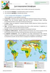 Composantes biologiques - Exercices : 8ème Harmos - PDF à imprimer