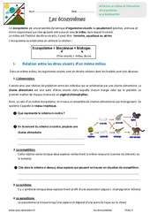 Ecosystèmes - Exercices : 8ème Harmos - PDF à imprimer