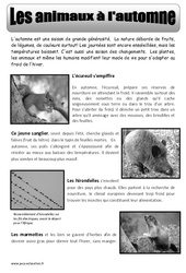 Les animaux à l'automne - Texte documentaire - Automne : 5ème, 6ème, 7ème Harmos - PDF à imprimer