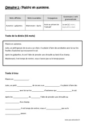 Avoir au présent de l’indicatif	Le son [s] - Fiches  c ,  ç , t ,  x - Dictée préparée - A trous : 5ème Harmos - PDF à imprimer