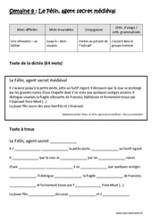 Exercice Le Félin, agent secret médiéval - Dictée préparée 8 - A trous : 6ème Harmos - Cycle 3 - PDF à imprimer