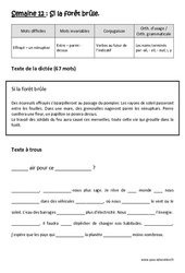 Exercice Si la forêt brûle - Dictée préparée 12 - A trous : 6ème Harmos - Cycle 3 - PDF à imprimer