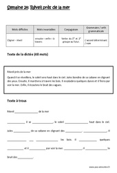 Verbe  du 1er et  2e groupe au futur - L’accord déterminant / nom - Dictée préparée - A trous : 5ème Harmos - PDF à imprimer