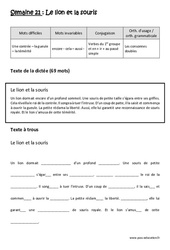 Exercice Verbes du 1er groupe et en - ir - au passé simple - Consonnes doubles - Dictée préparée 21 - A trous : 6ème Harmos - Cycle 3 - PDF à imprimer