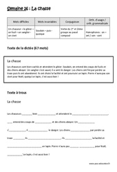 Exercice Verbe du 1er ème groupe au passé composé - Homophones - Fiches on - ont / son - sont - Dictée préparée 26 - A trous : 6ème Harmos - Cycle 3 - PDF à imprimer