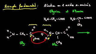 Atomes dans la réaction chimique - Vidéos pédagogiques - Physique - Chimie : 10ème Harmos