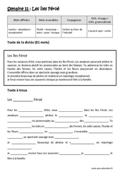 Exercice Les îles Féroé - Verbes au futur de l’indicatif - Accord sujet - verbe - Dictée préparée - A trous : 7ème Harmos - Cycle 3 - PDF à imprimer