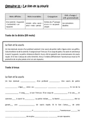 Exercice Le lion et la souris - Verbes du 1er groupe et en - ir - au passé simple - Consonnes doubles - Dictée préparée - A trous : 7ème Harmos - Cycle 3 - PDF à imprimer