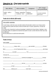 Exercice Une belle matinée - Verbe au conditionnel - Noms terminés par le son é - Dictée préparée - A trous : 7ème Harmos - Cycle 3 - PDF à imprimer