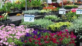 Occupation d’un milieu au cours des saisons - Vidéos pédagogiques - SVT : 8ème Harmos