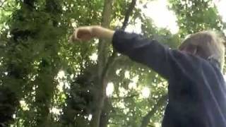 Caractéristiques de notre environnement - Vidéos pédagogiques - SVT : 8ème Harmos