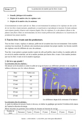 Production de matière par les êtres vivants - Cours - SVT : 8ème Harmos - PDF à imprimer