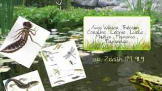 Transformation de la matière dans le sol - Vidéos pédagogiques - SVT : 8ème Harmos