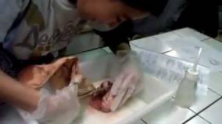 Elimination des déchets produits par l'activité des organes - Vidéos pédagogiques - SVT : 9eme Harmos