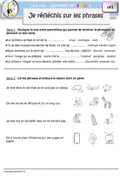 Je réfléchis sur les phrases - Gamme de lecture : 4ème Harmos - PDF à imprimer