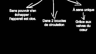 Rôle de la circulation sanguine dans le fonctionnement de l'organisme - Vidéos pédagogiques - SVT : 9eme Harmos
