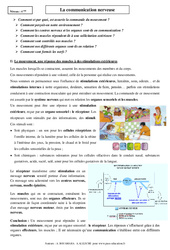 Communication nerveuse - Cours - SVT : 10ème Harmos - PDF à imprimer